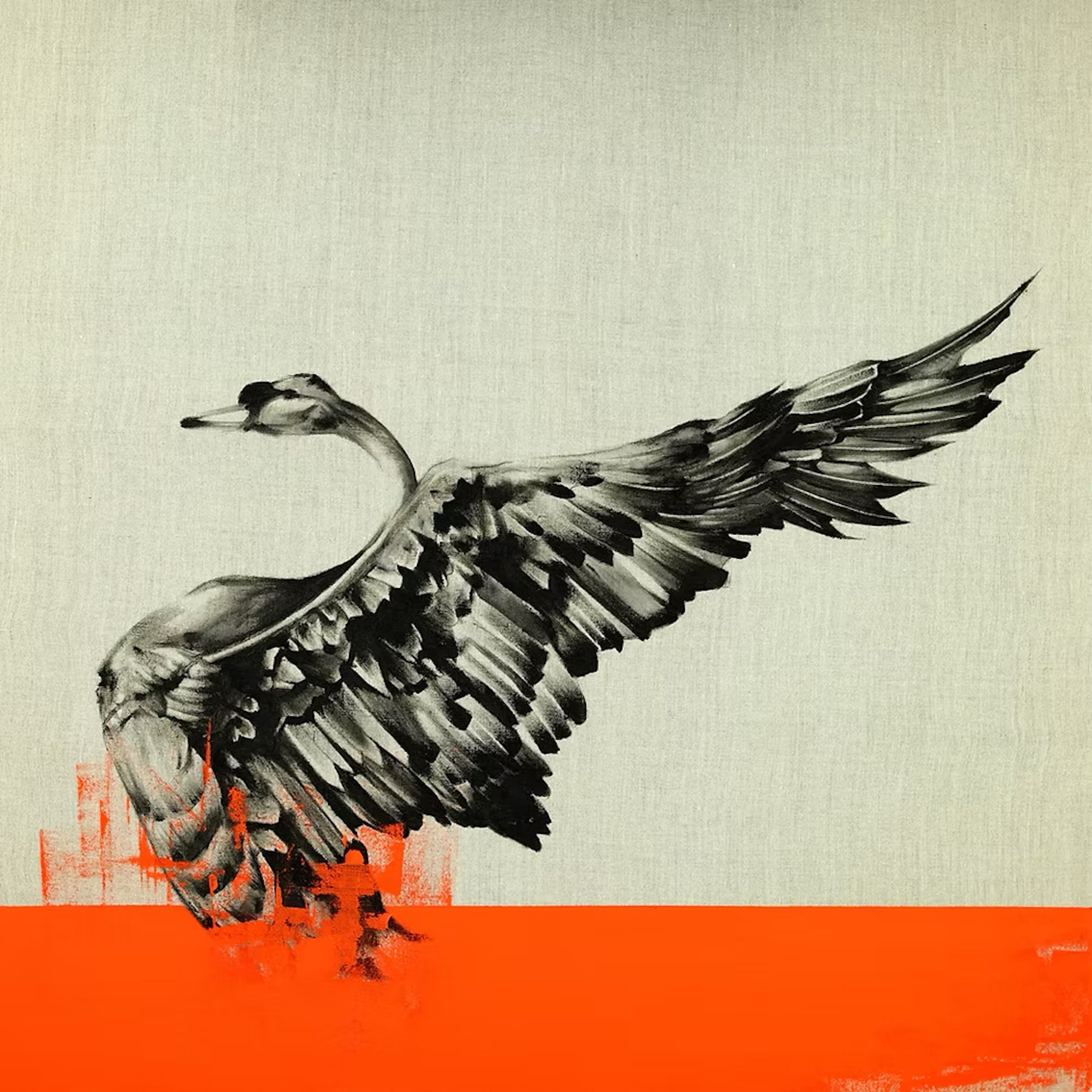 Black Swan Raw in Orange