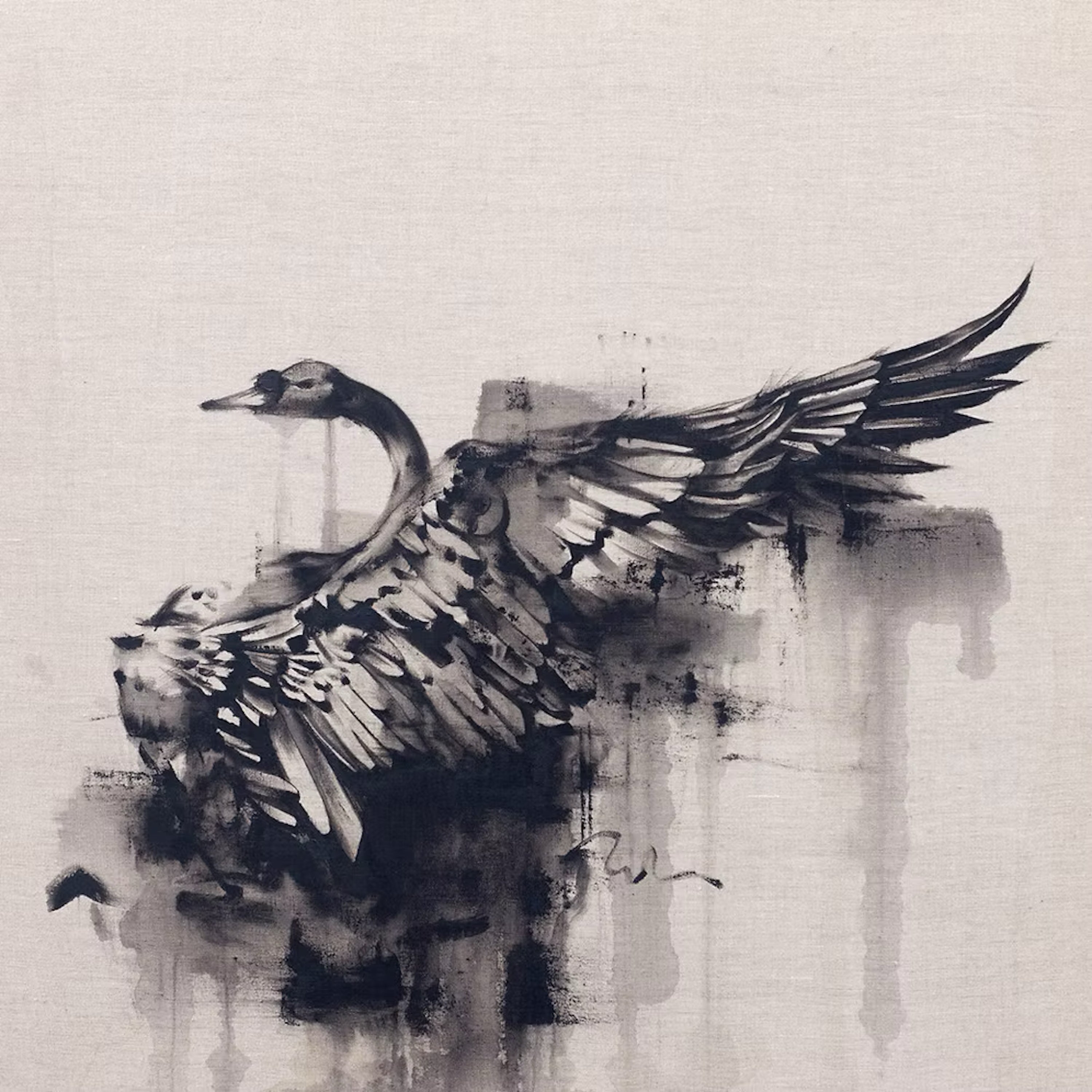 Black Swan Raw Pure
