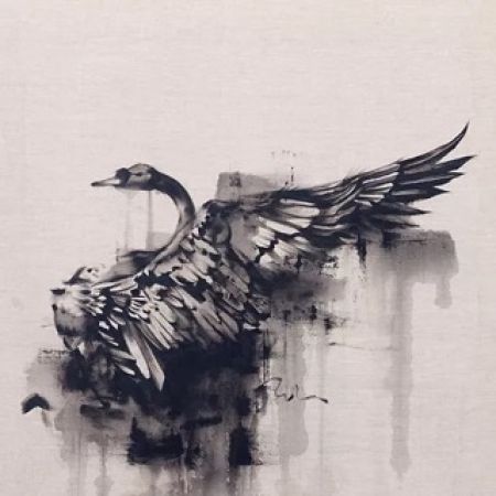 Click Here To Enlarge This Photo Of Black Swan Raw Pure SOLD