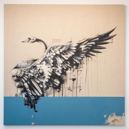 Click Here To Enlarge This Photo Of Black Swan Raw in Teal SOLD