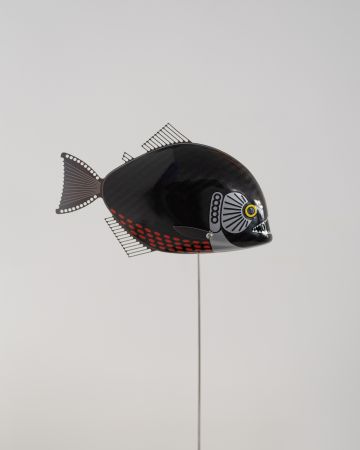 Click Here To Enlarge This Photo Of Baby Piranha