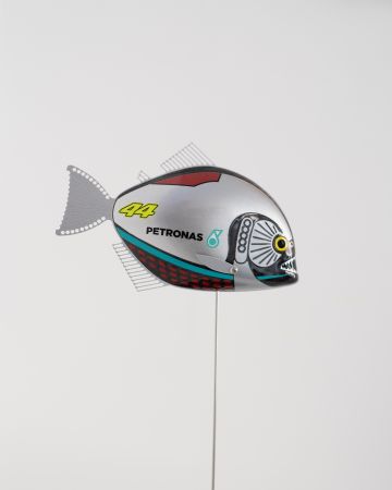 Click Here To Enlarge This Photo Of Baby Piranha Lewis Hamilton 13/40