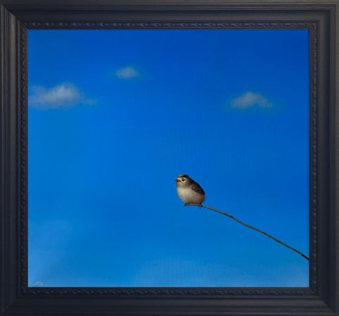 Click Here To Enlarge This Photo Of Clive SOLD