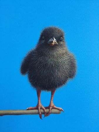 Click Here To Enlarge This Photo Of Pippin