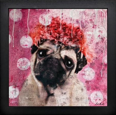 Click Here To Enlarge This Photo Of Pug on Spots