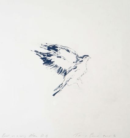 Click Here To Enlarge This Photo Of Bird on a Wing after DB (Please inquire)