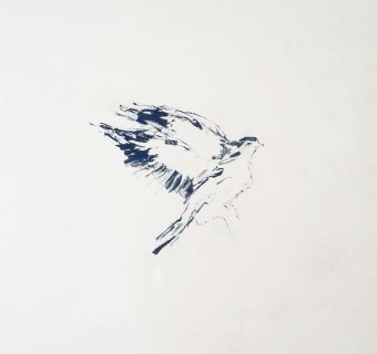 Tracey EminBird on a Wing after DB (Please inquire)