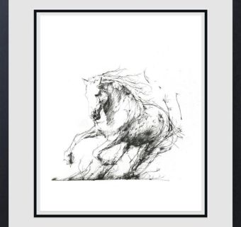 Freedom SOLD