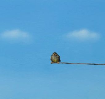 Lilia MazurkevichI Don't Like The Rain SOLD