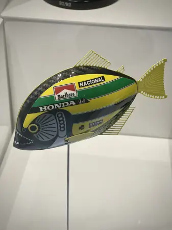 Click Here To Enlarge This Photo Of Senna Baby Piranha
