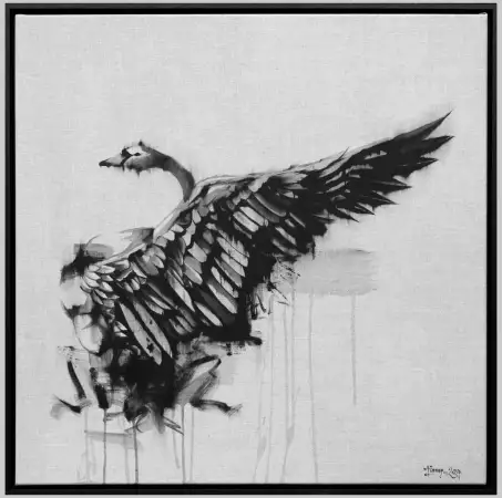 Click Here To Enlarge This Photo Of Black Swan Raw SOLD