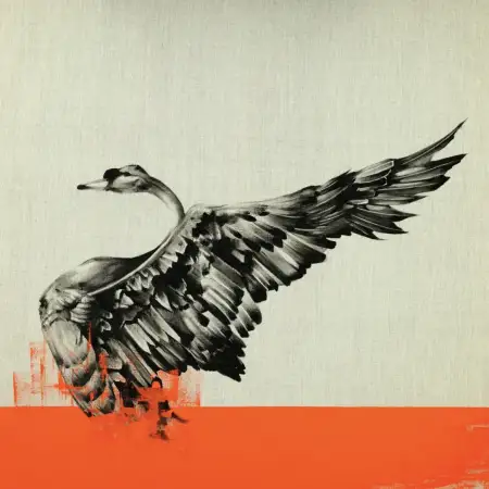 Click Here To Enlarge This Photo Of Black Swan Raw - Orange
