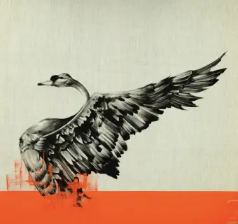 Tommy FiendishBlack Swan Raw - Orange