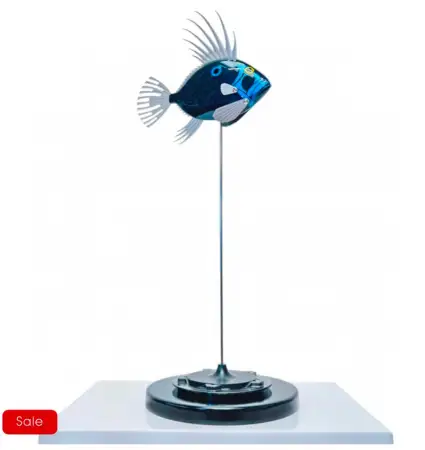 Click Here To Enlarge This Photo Of Baby Dory
