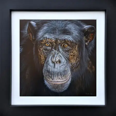 Click Here To Enlarge This Photo Of George&ast;