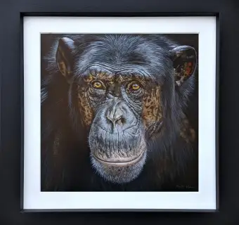 Martin RobsonGeorge&ast;