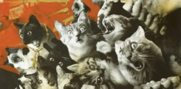 Click Here To Enlarge This Photo Of Skull Vomiting Cats