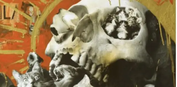 Click Here To Enlarge This Photo Of Skull Vomiting Cats