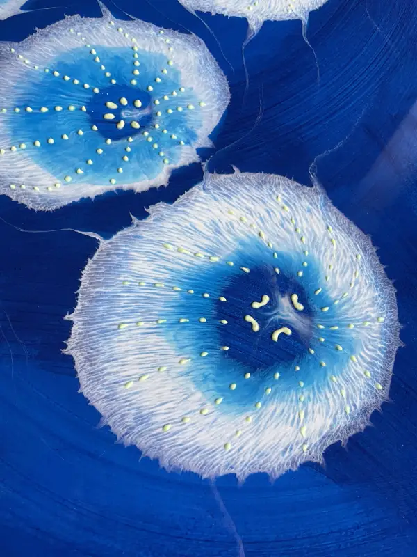 Click Here To Enlarge This Photo Of Luminous Drift SOLD