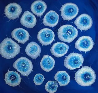 SkeviLuminous Drift SOLD