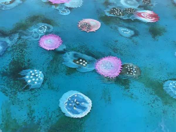 Click Here To Enlarge This Photo Of Bioluminescent Reef