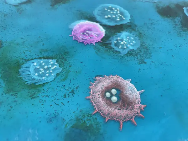 Click Here To Enlarge This Photo Of Bioluminescent Reef