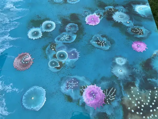 Click Here To Enlarge This Photo Of Bioluminescent Reef