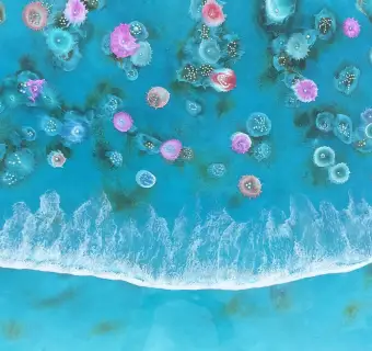 SkeviBioluminescent Reef